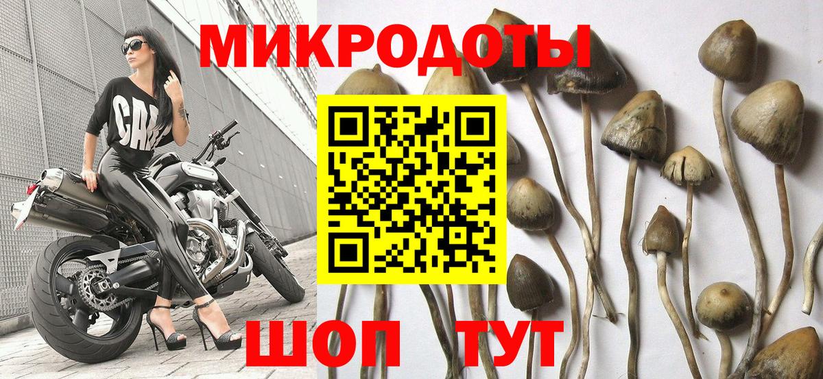 Галлюциногенные грибы прущие грибы Киреевск